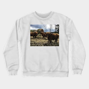 Scottish Highland Cattle Bulls 2383 Crewneck Sweatshirt